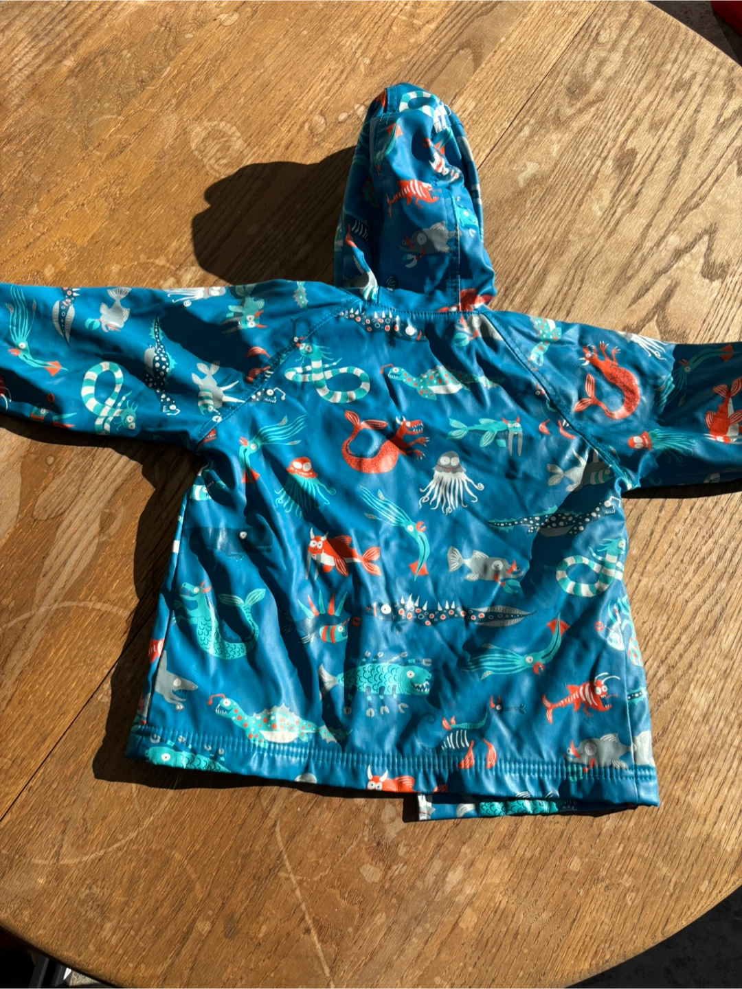 Hatley Kids Raincoat - Sea Creatures Print - photo 2