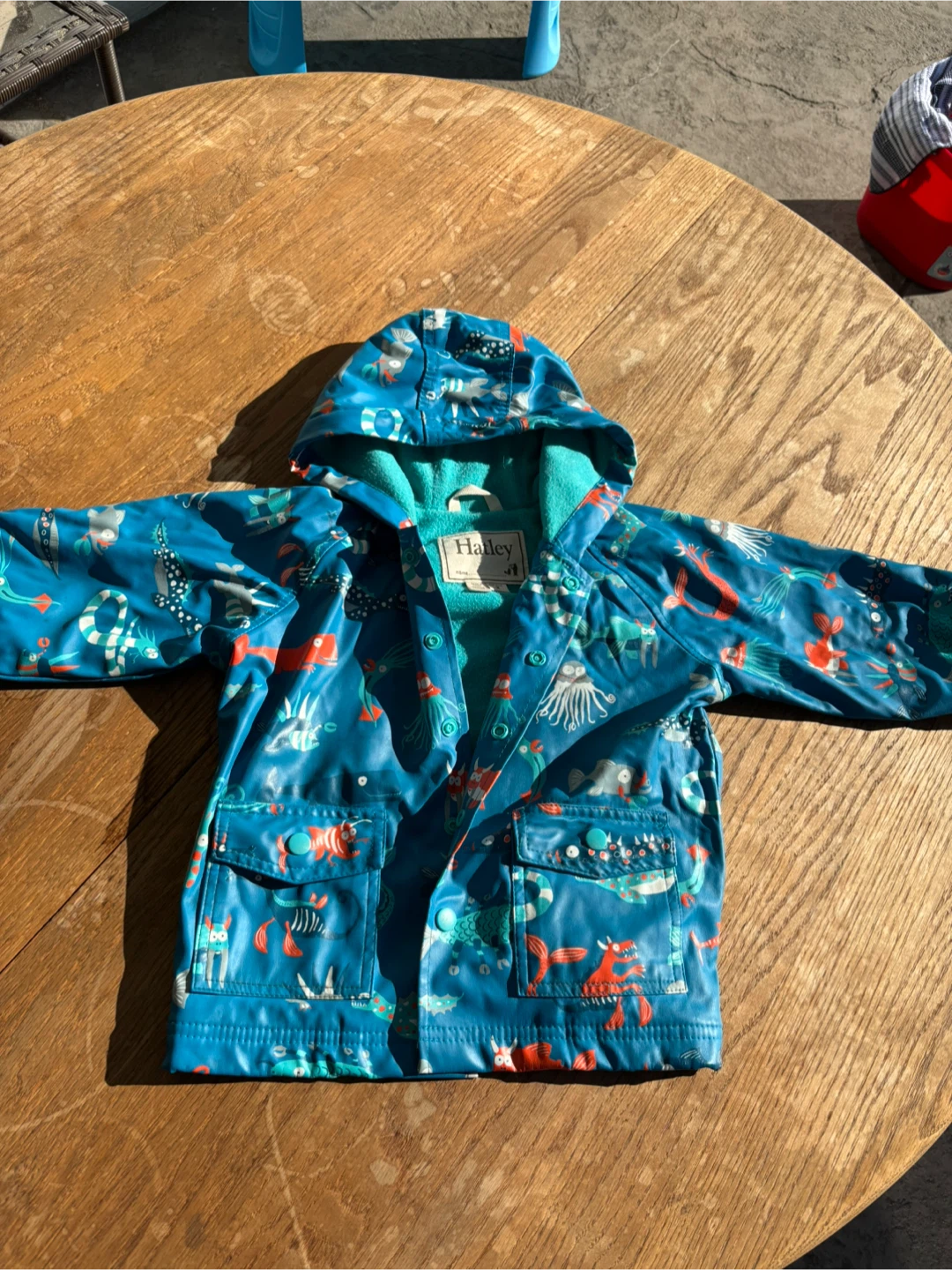Hatley Kids Raincoat - Sea Creatures Print