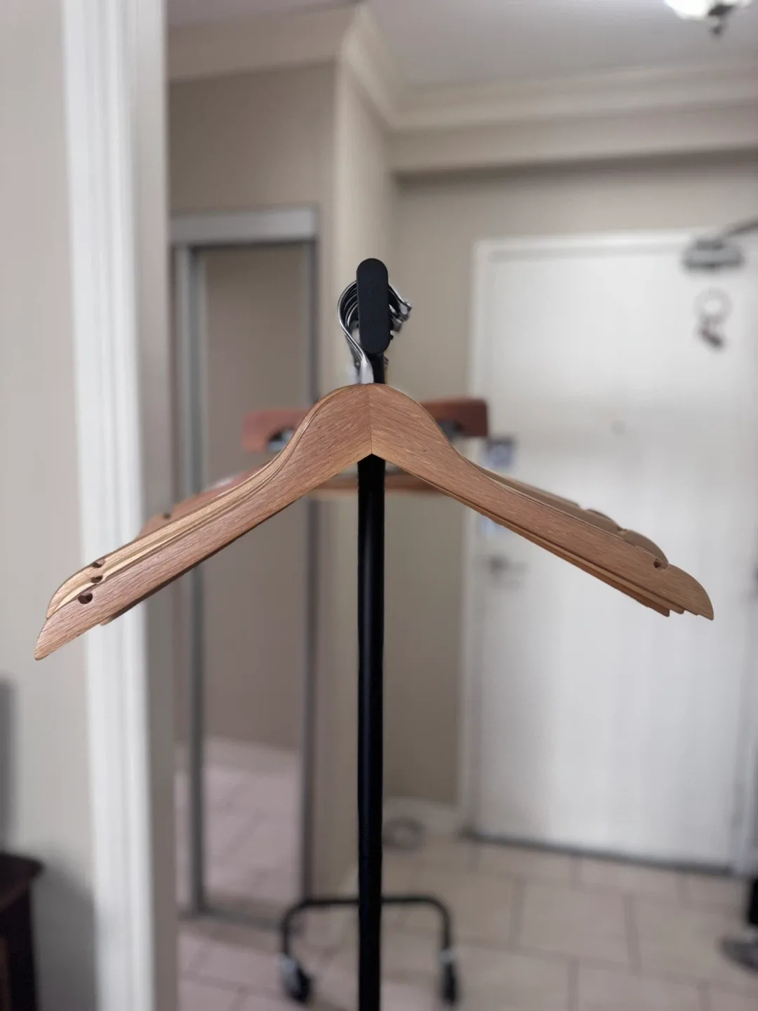 53 Wooden Closet Hangers