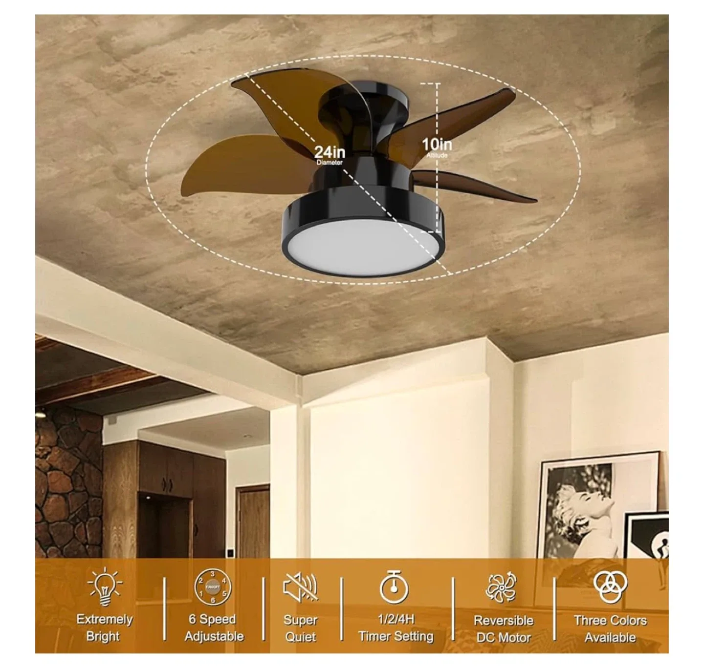 Tomourd 24 inch Ceiling Fan with Light image indicator(7)
