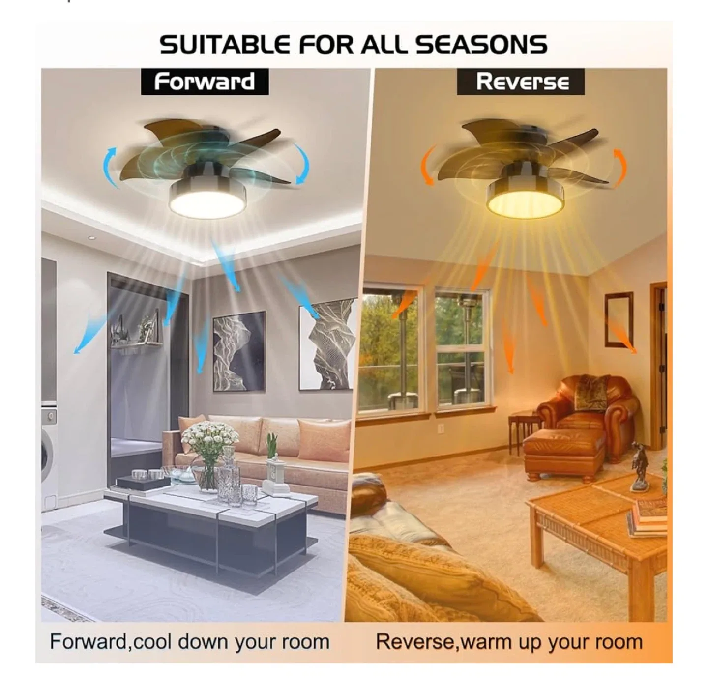 Tomourd 24 inch Ceiling Fan with Light image indicator(4)
