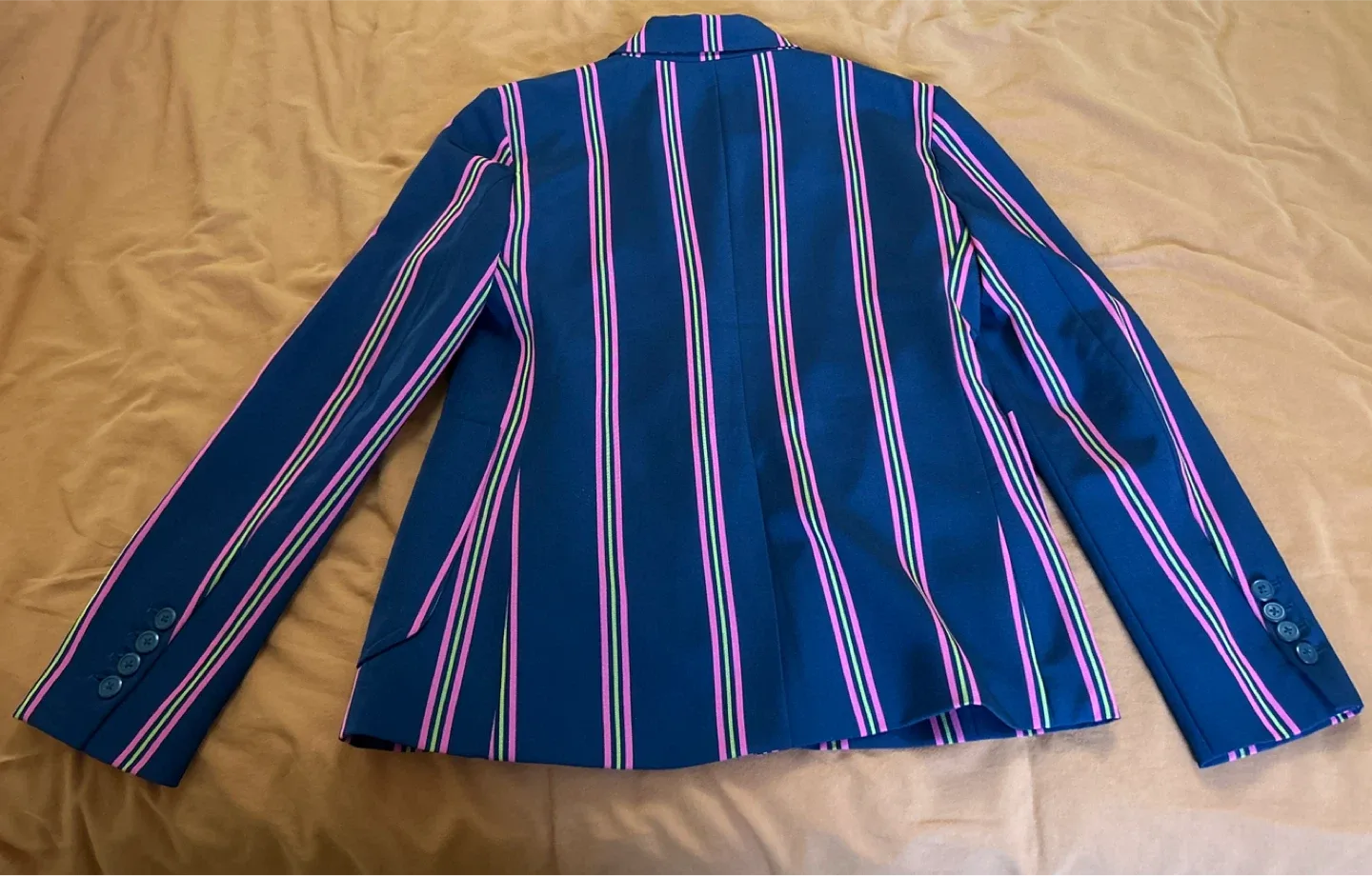 BB Dakota Striped Blazer - Size S image indicator(2)