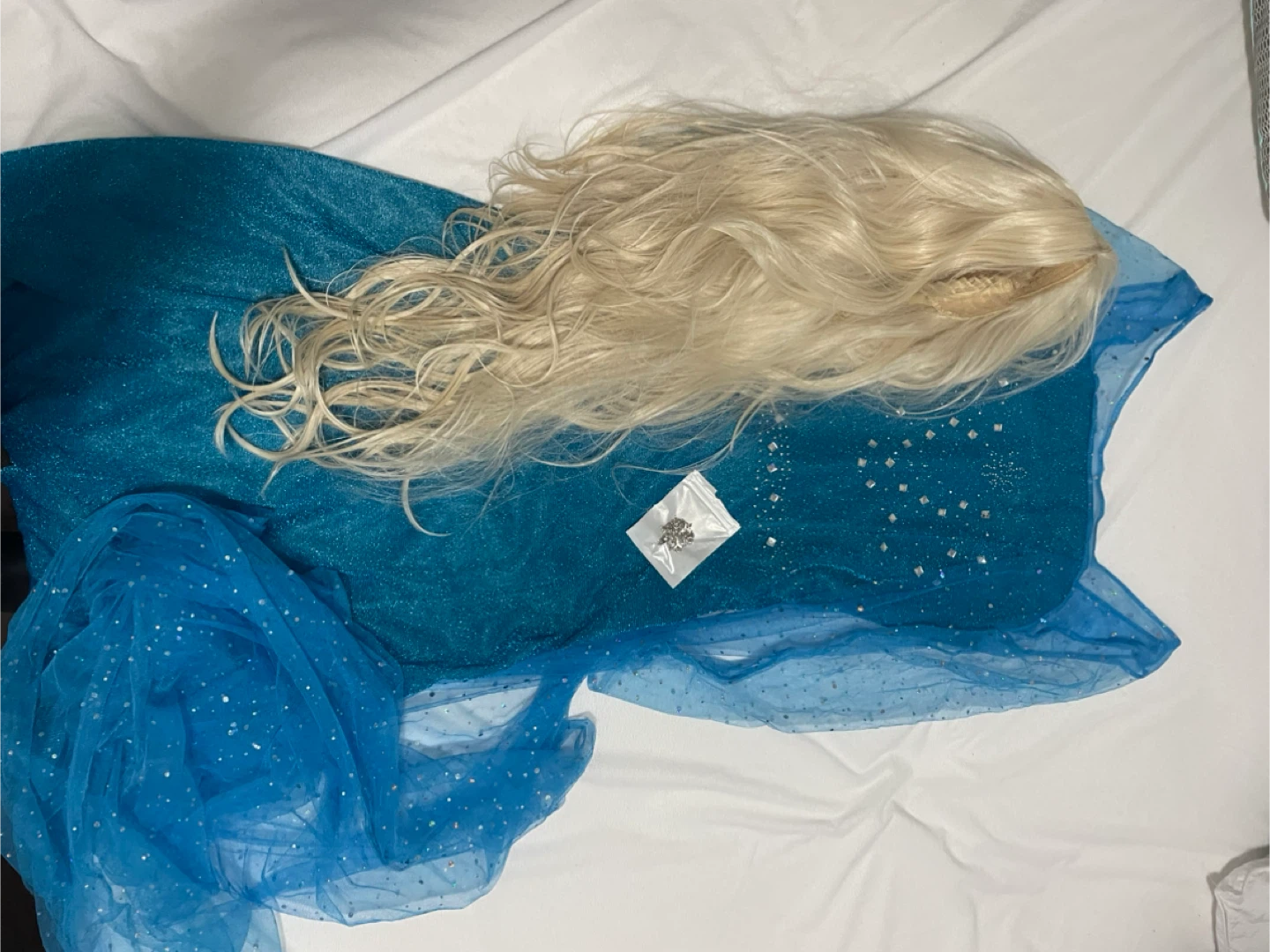 Elsa Costume Dress with Wig - photo 2