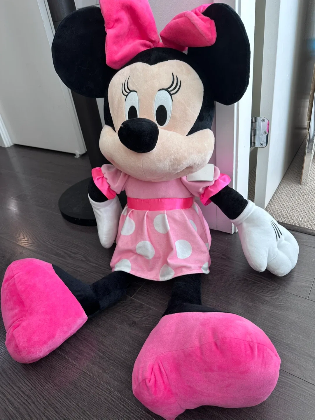 Disney Baby Minnie Mouse Plush - 3+ image indicator(2)