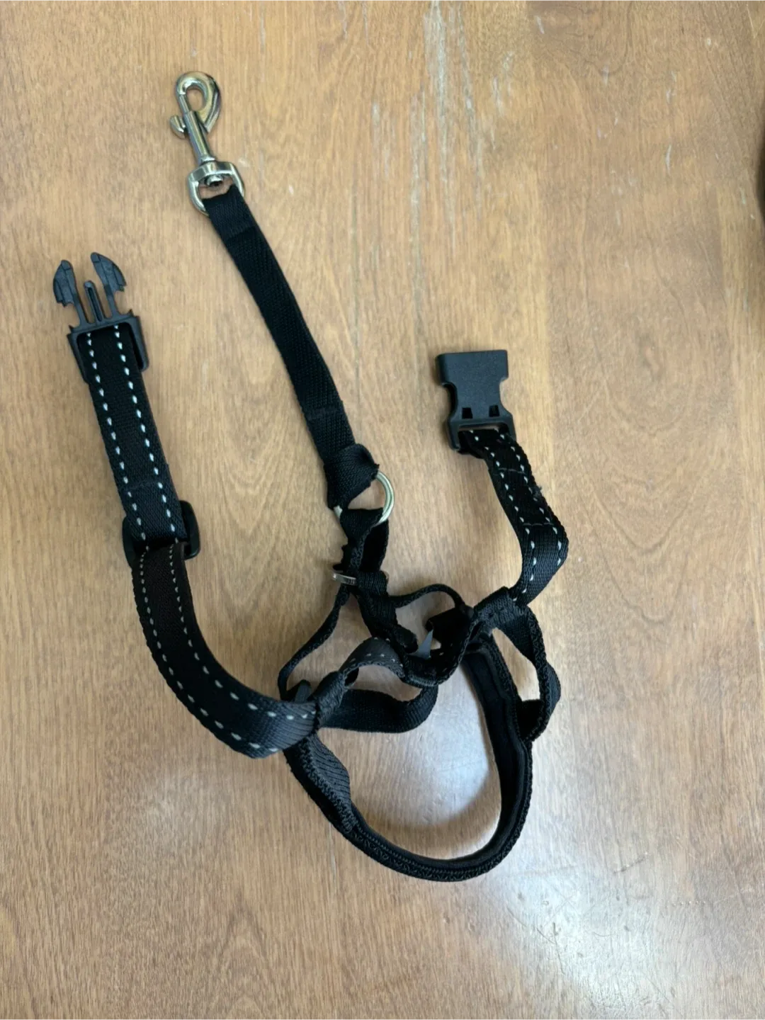 Halti Headcollar - Size 1 / Black - $15 OBO image indicator(2)
