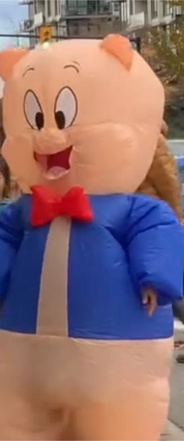 Porky Pig Inflatable Costume For Halloween - photo 2