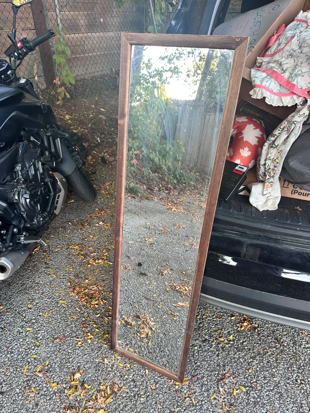 Framed Standing Mirror thumbnail