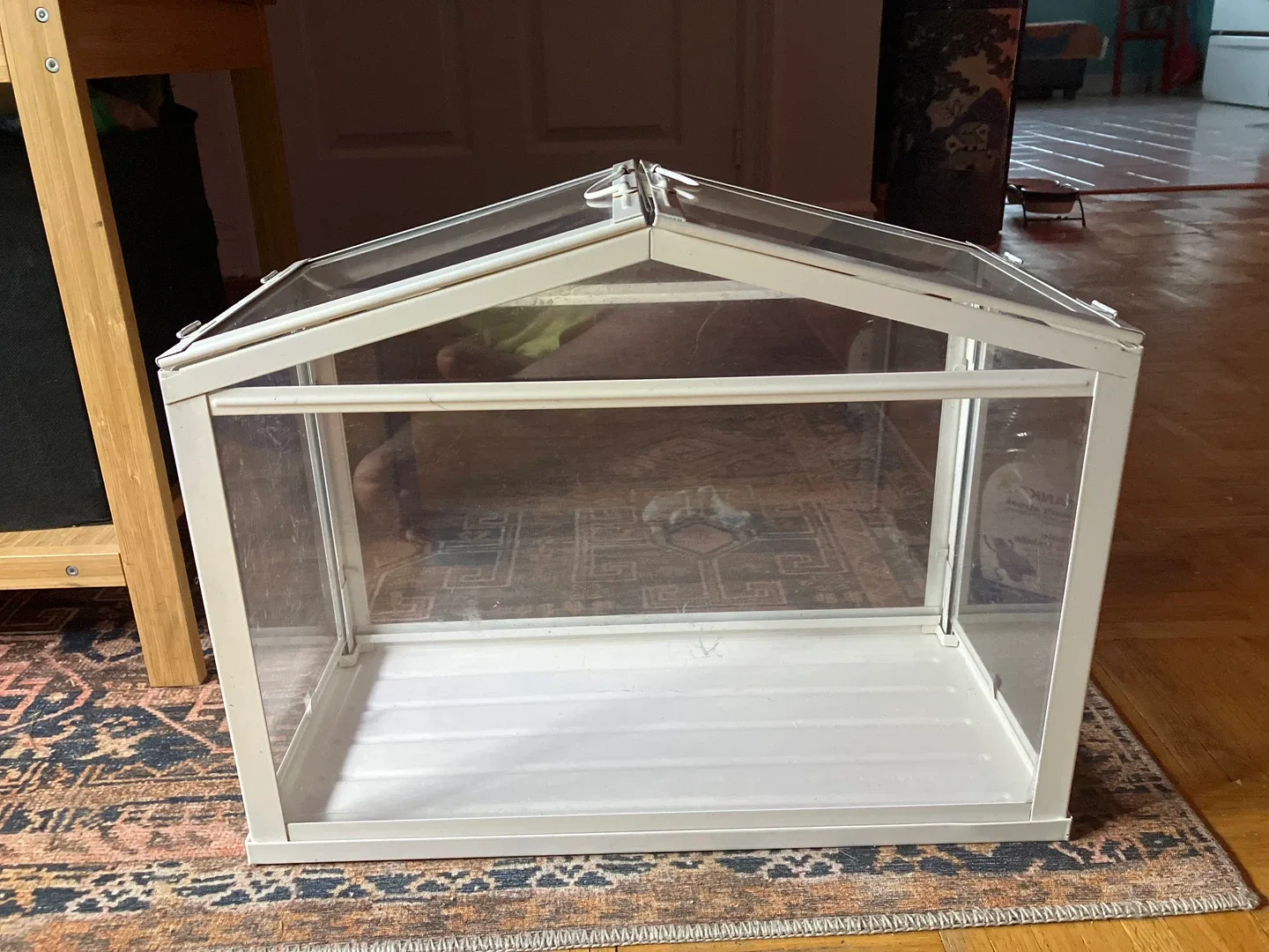 Small ikea greenhouse thumbnail
