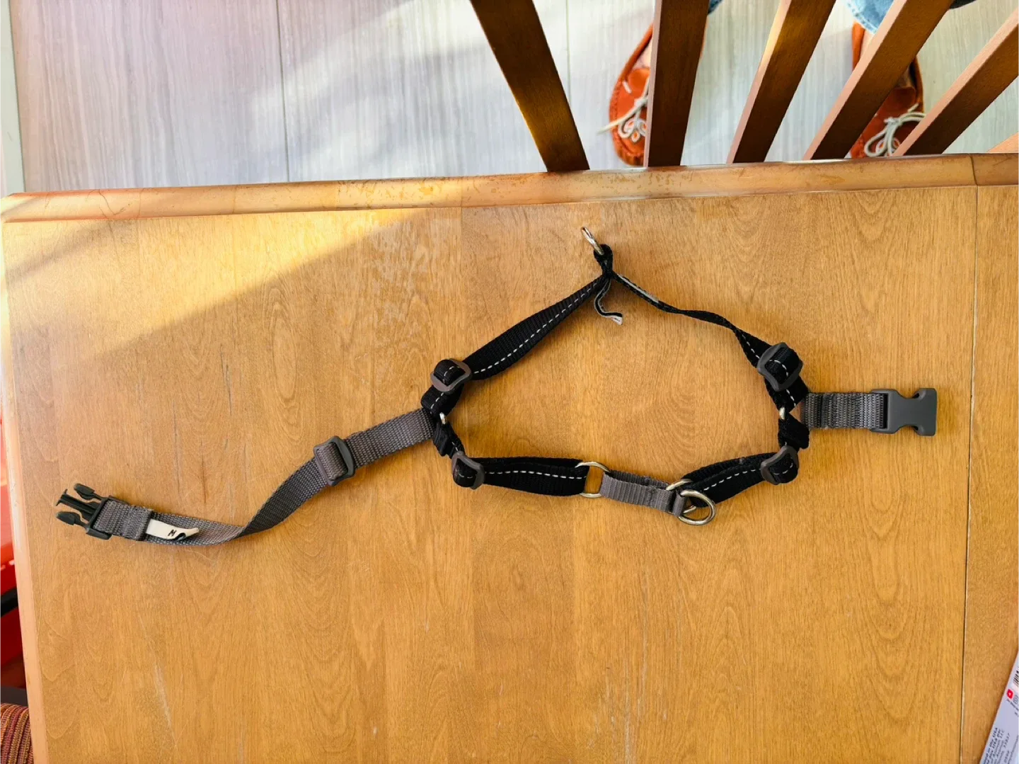 RC Pets Dog Harness - Black image indicator(2)