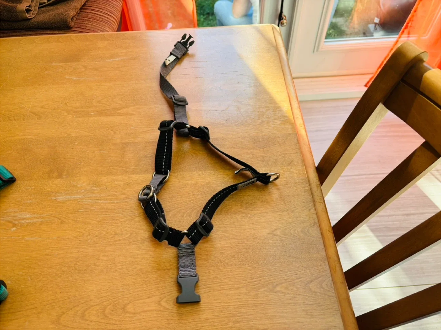 RC Pets Dog Harness - Black image indicator(3)