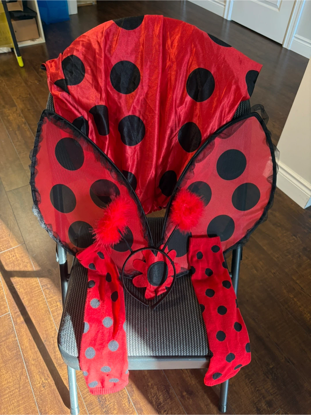 Ladybug Costume with Wings & Socks