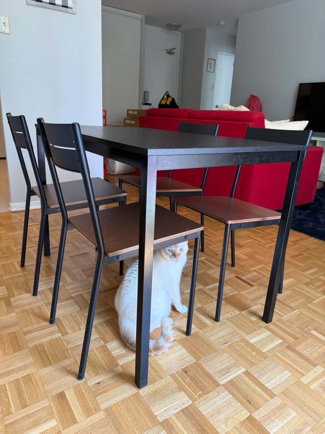 IKEA Black Dining Table & 4 Chairs