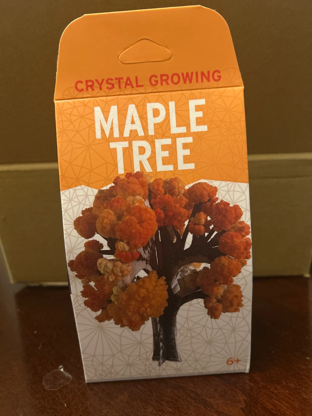 Crystal Growing Maple Tree Kit - New!
