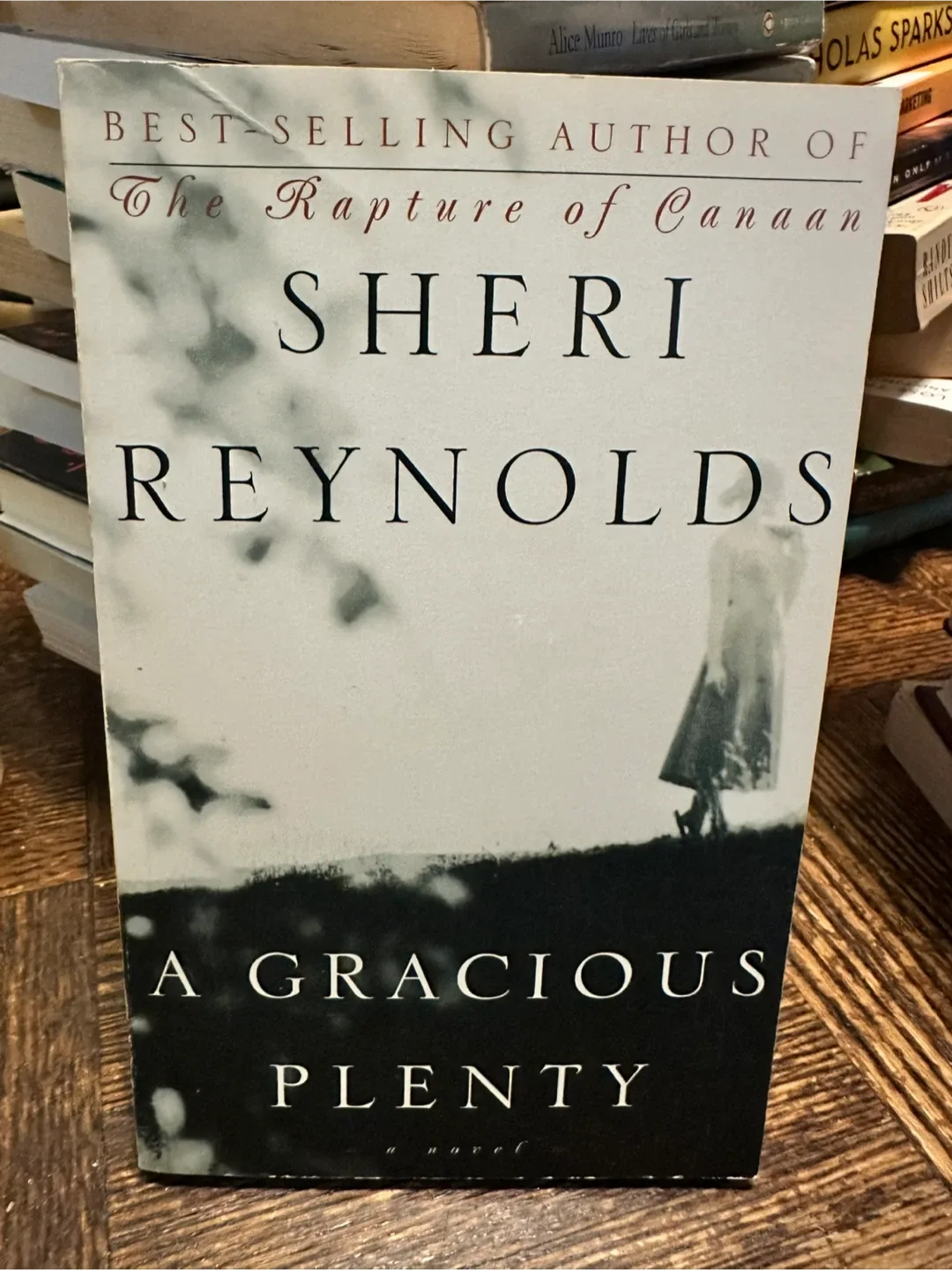 A Gracious Plenty by Sheri Reynolds thumbnail