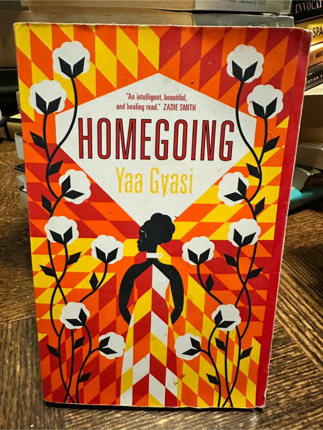 Homegoing by Yaa Gyasi thumbnail