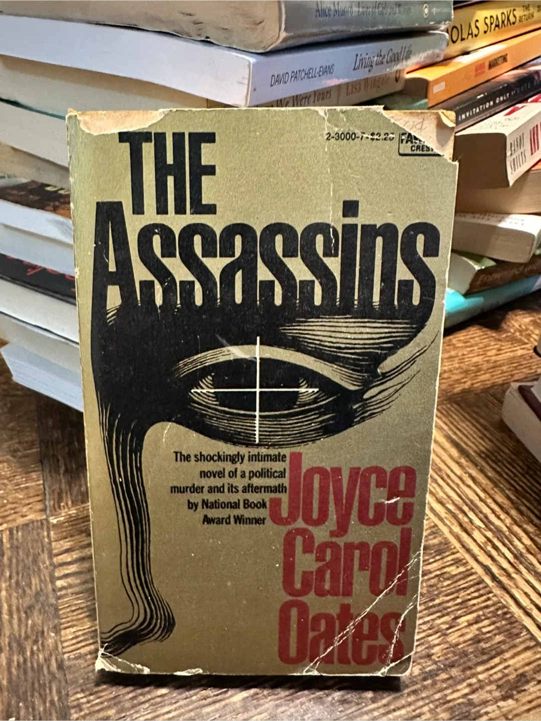 The Assassins by Joyce Carol Oates thumbnail