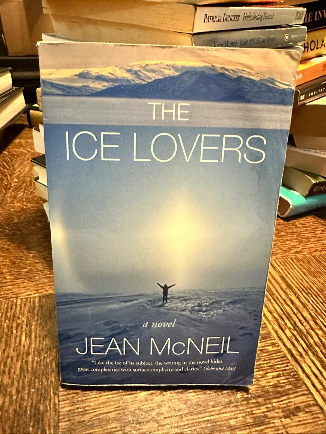 The Ice Lovers by Jean McNeil Novel thumbnail