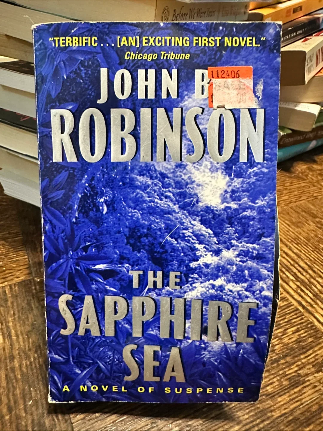 🧡The Sapphire Sea by John B. Robinson thumbnail