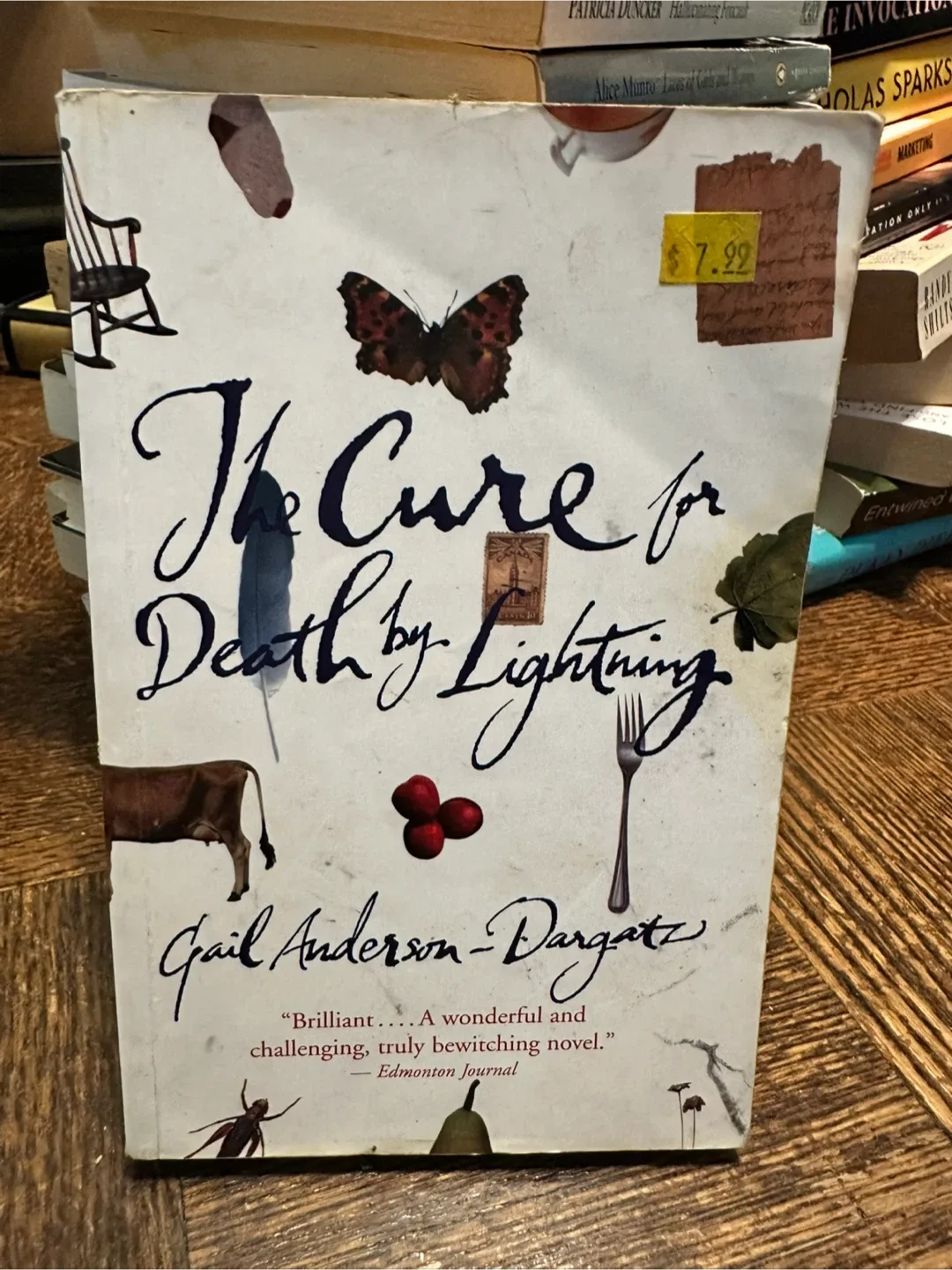 The Cure for Death by Lightning by Gail Anderson-Dargatz thumbnail