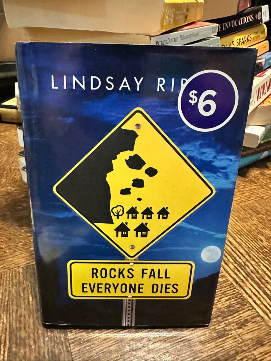 Rocks Fall Everyone Dies by Lindsay Rippon thumbnail