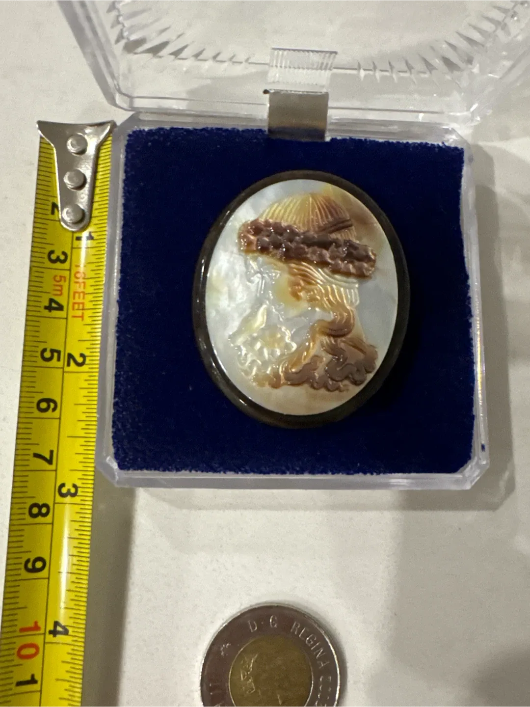 Magnetic Health Jewellery Brooch image indicator(4)