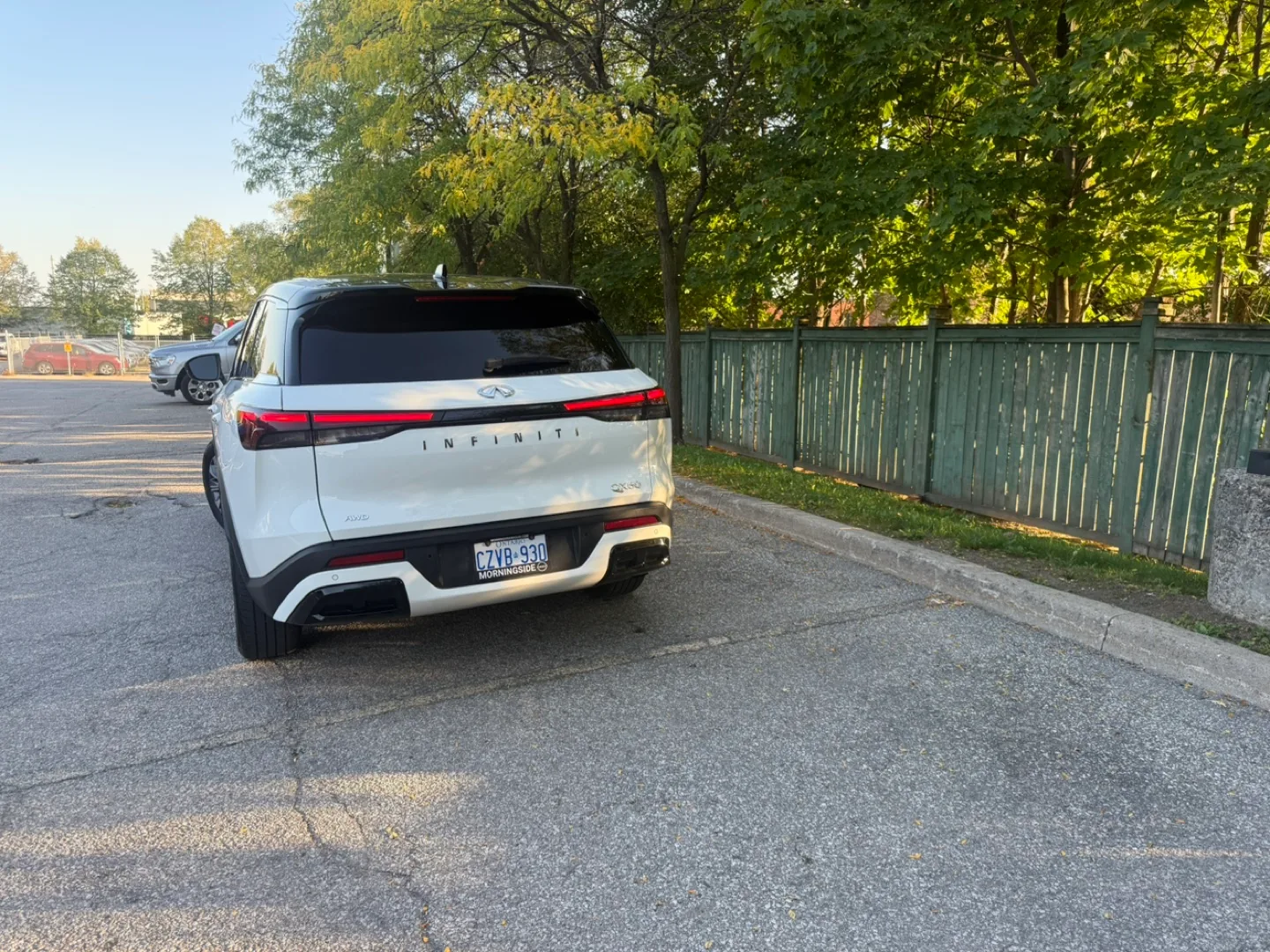 Infiniti QX60 SUV - White image indicator(9)