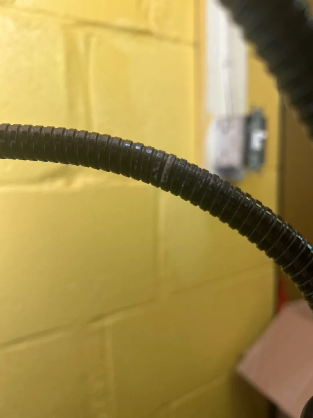 🧡Medusa Floor Lamp🧡 image indicator(2)