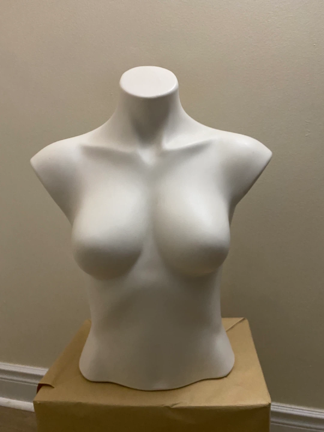 White Female Mannequin Bust