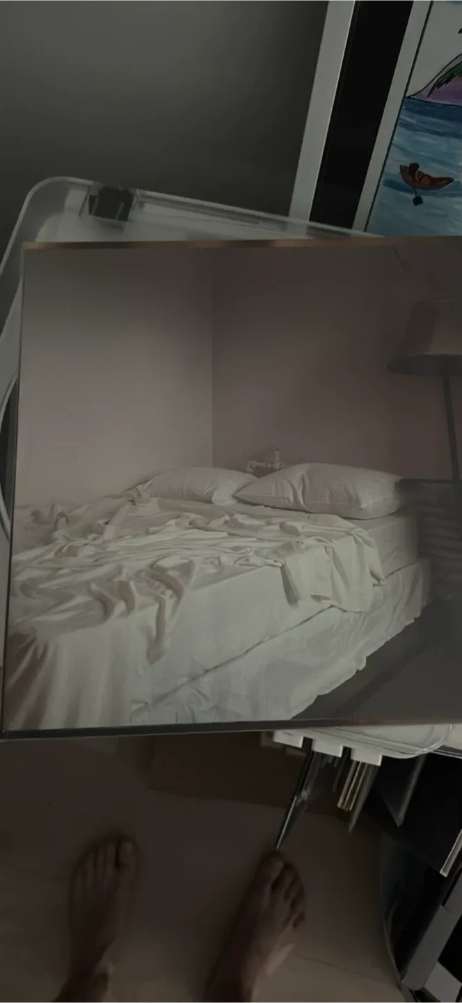 Troye Sivan - Something to Give Each Other Vinyl image indicator(3)