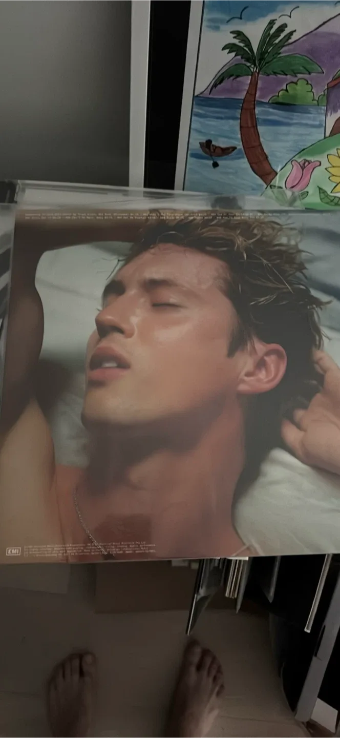 Troye Sivan - Something to Give Each Other Vinyl image indicator(2)