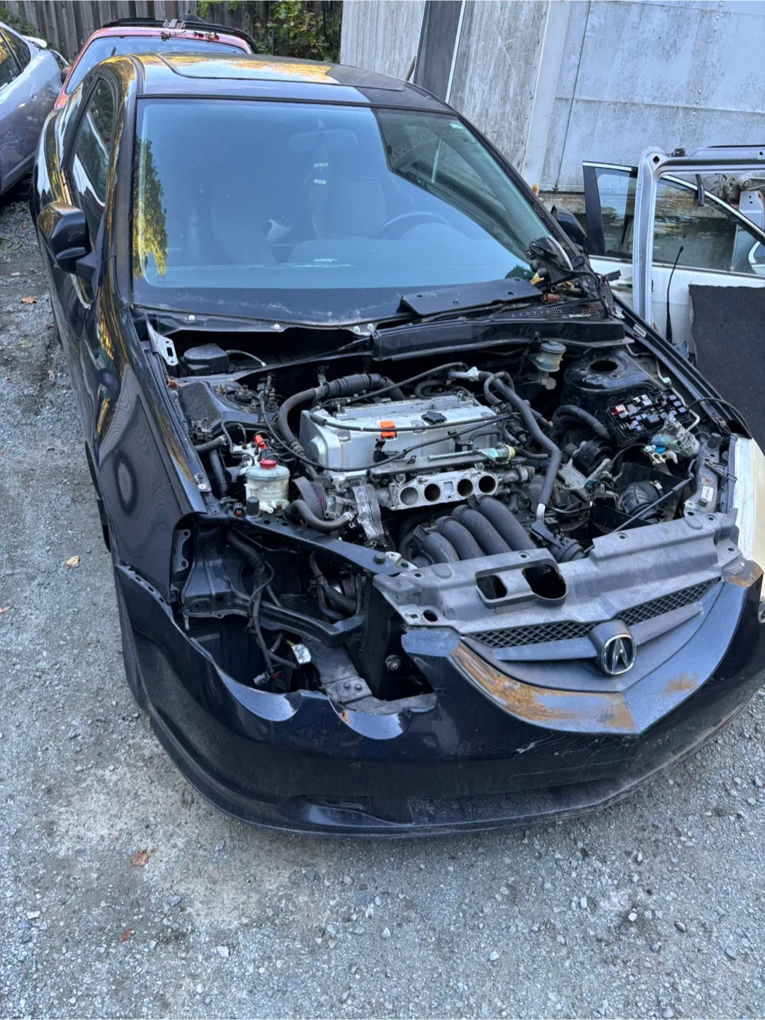 Acura RSX Black Coupe image indicator(7)