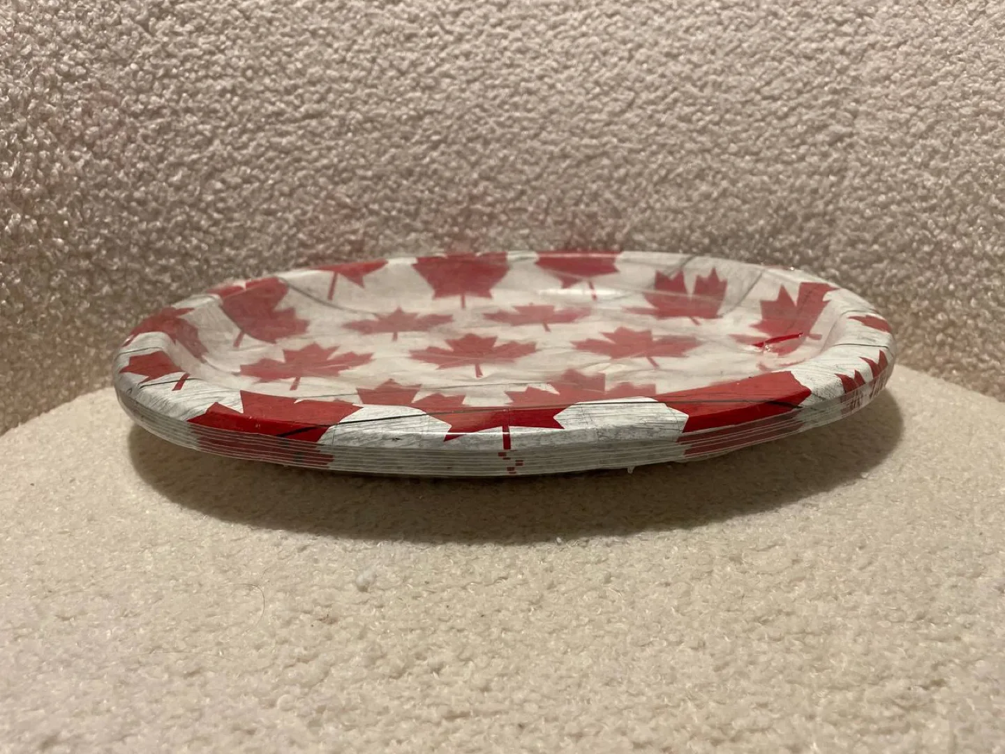 Halloween & Canada Day Paper Plates image indicator(2)