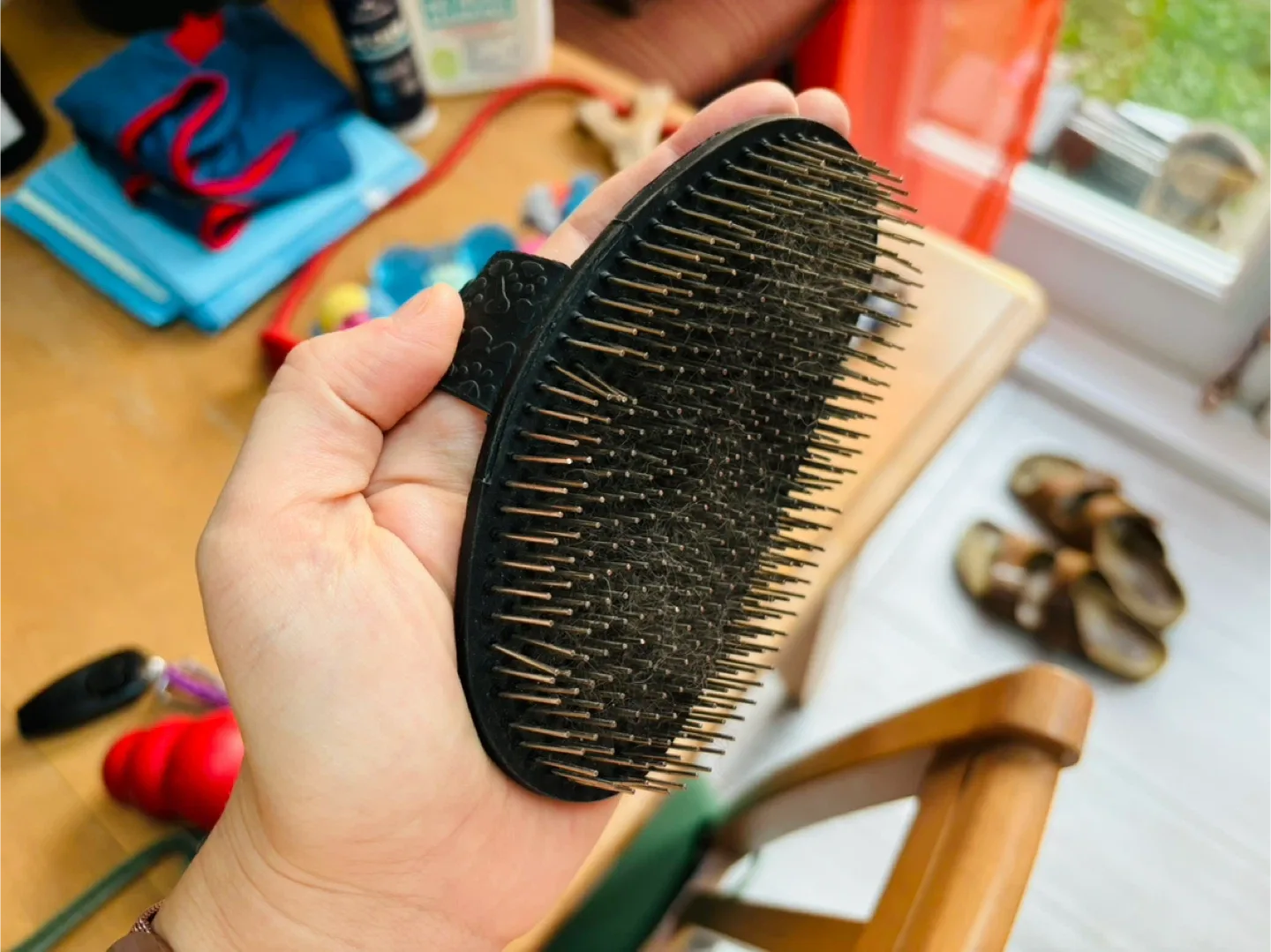 FREE Puppy starter kit image indicator(4)