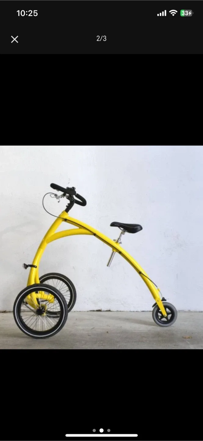 Alinker walking bike image indicator(2)