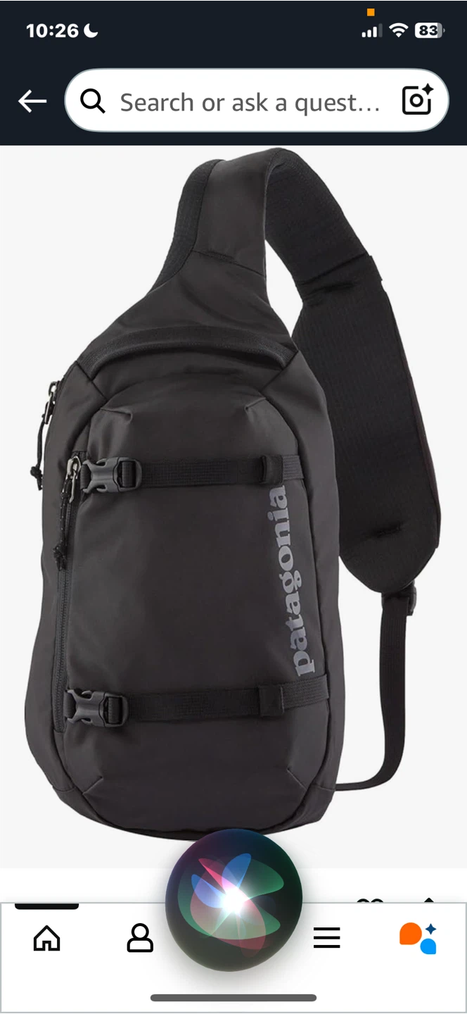 Brand new Patagonia sling bag for only $69