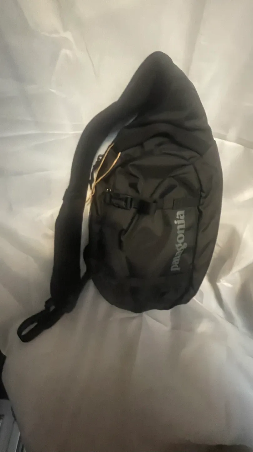 Brand new Patagonia sling bag for only $199 image indicator(3)