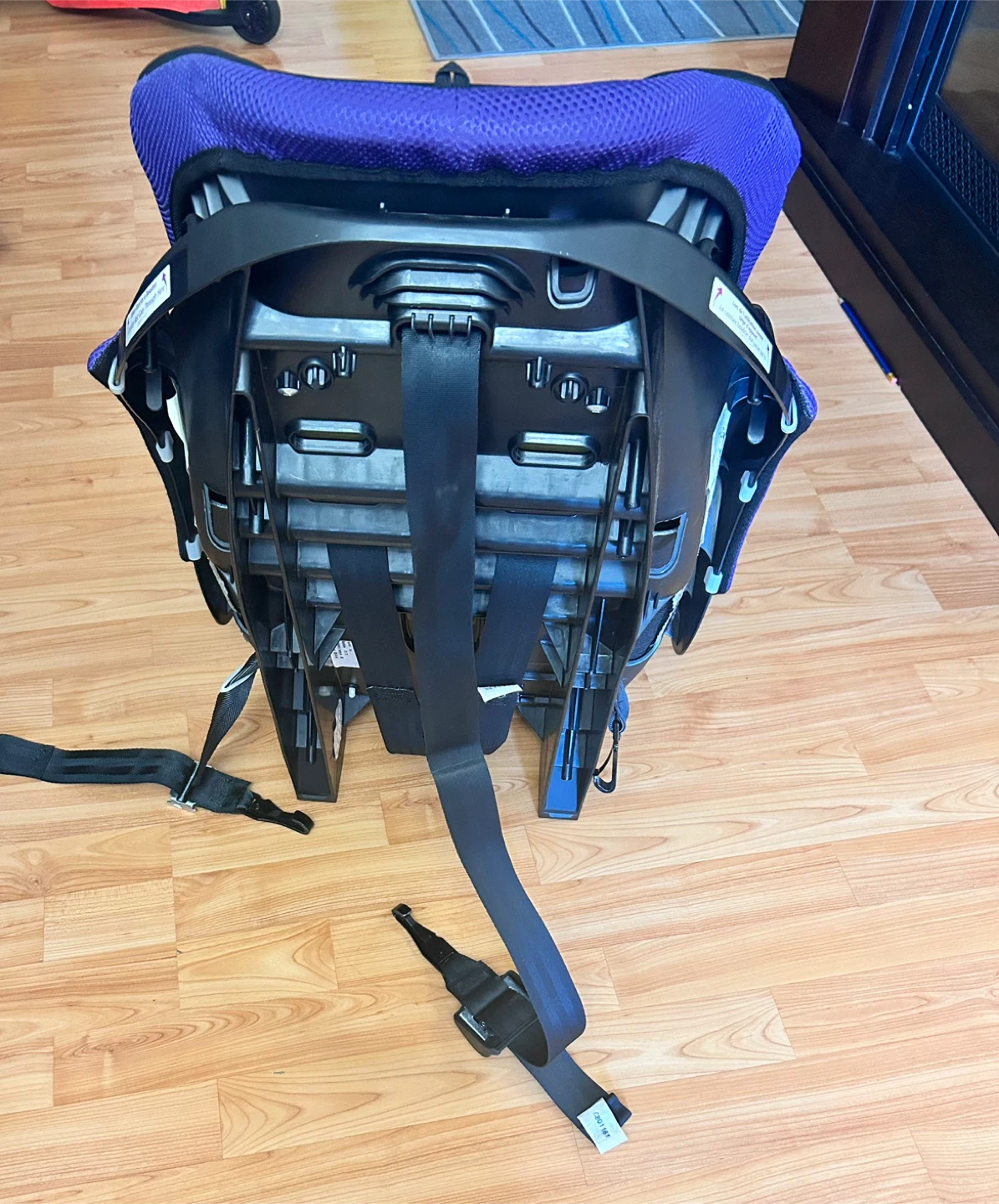 Evenflo Car Seat - Purple & Black