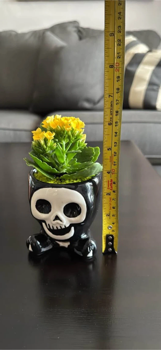 Skull Planter with Yellow Kalanchoe - photo 4