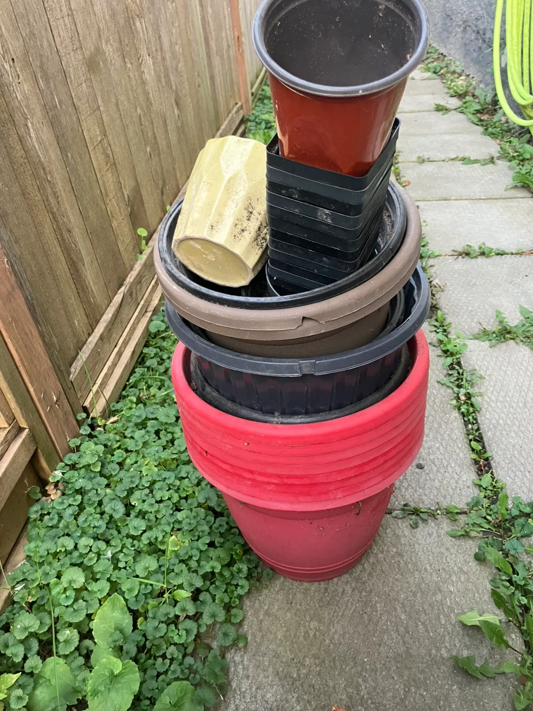 Assorted Flower Pots - Red, Brown, Black, Yellow