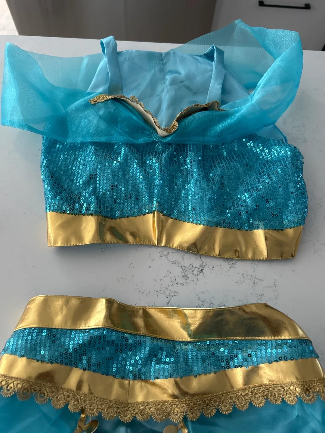 Jasmine Costume - Size 4-6 image indicator(2)