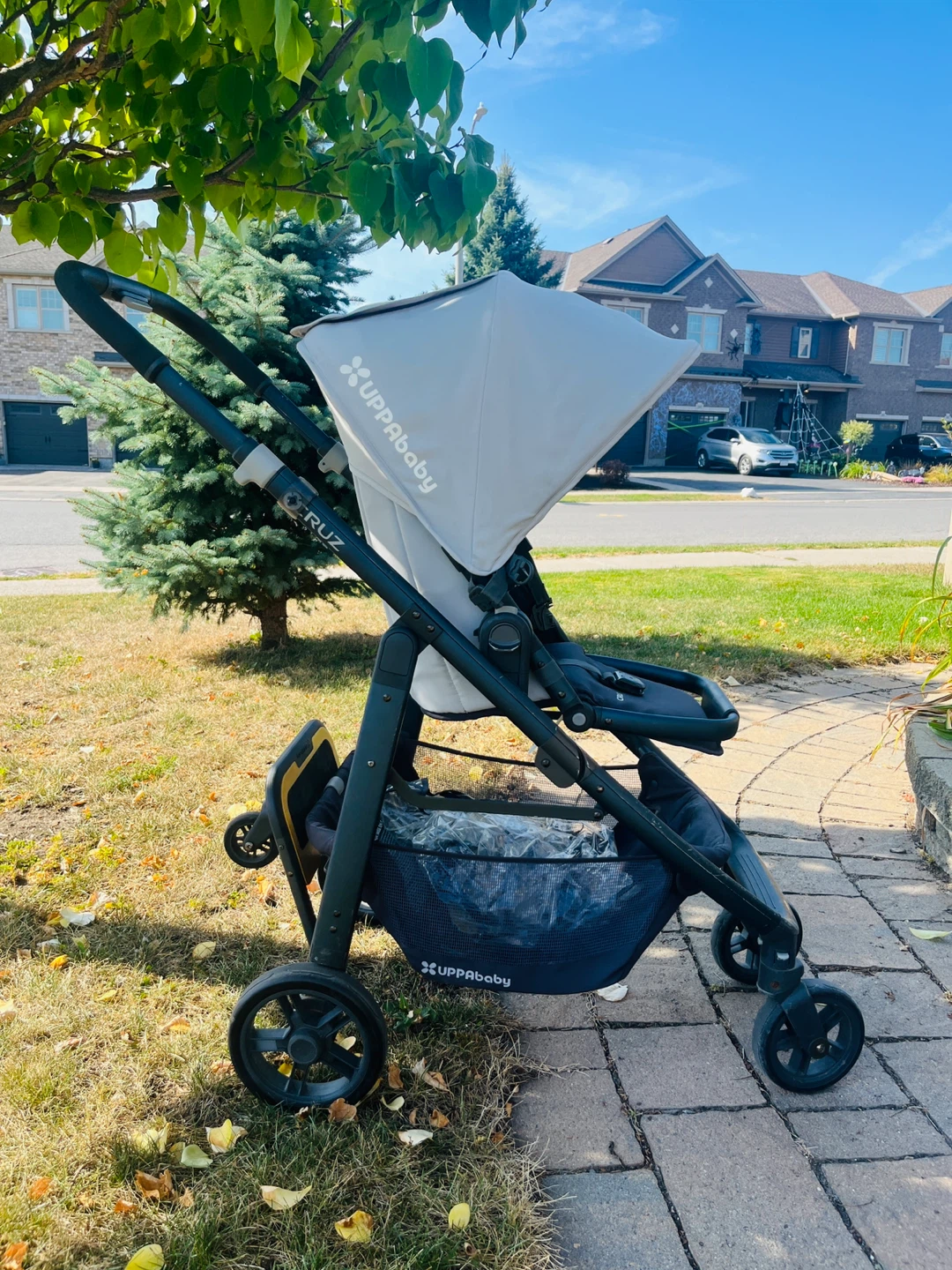 UPPAbaby Cruz Stroller with PiggyBack Board