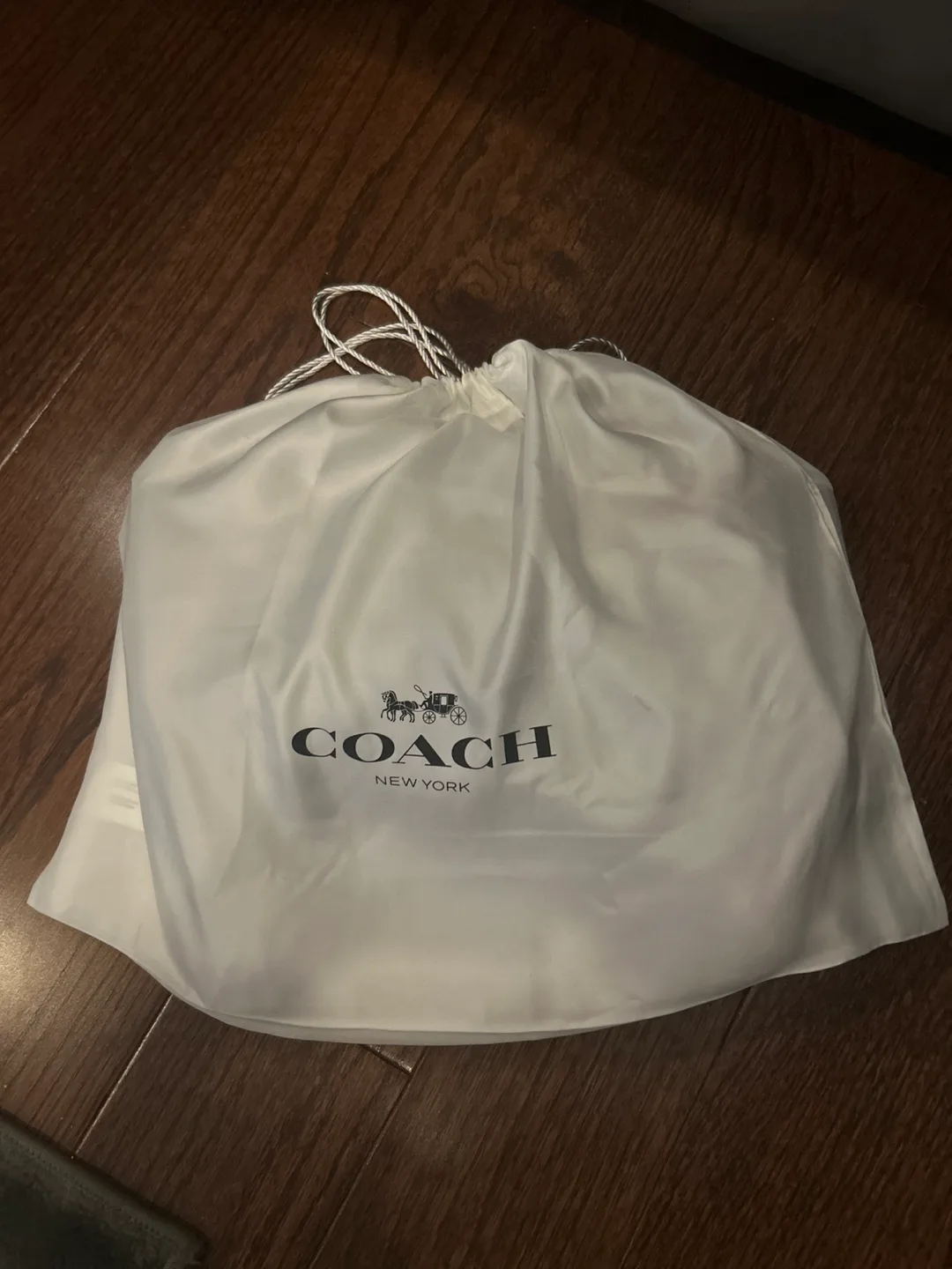 Coach Leather Handbag - Caramel Brown