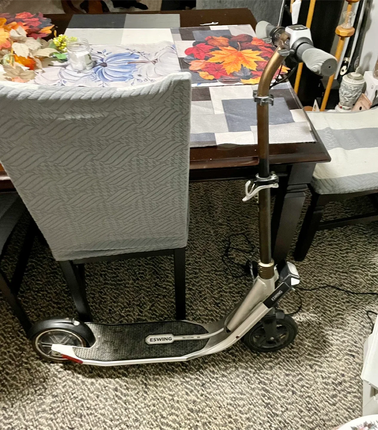 Eswing Electric Scooter  sold image indicator(6)