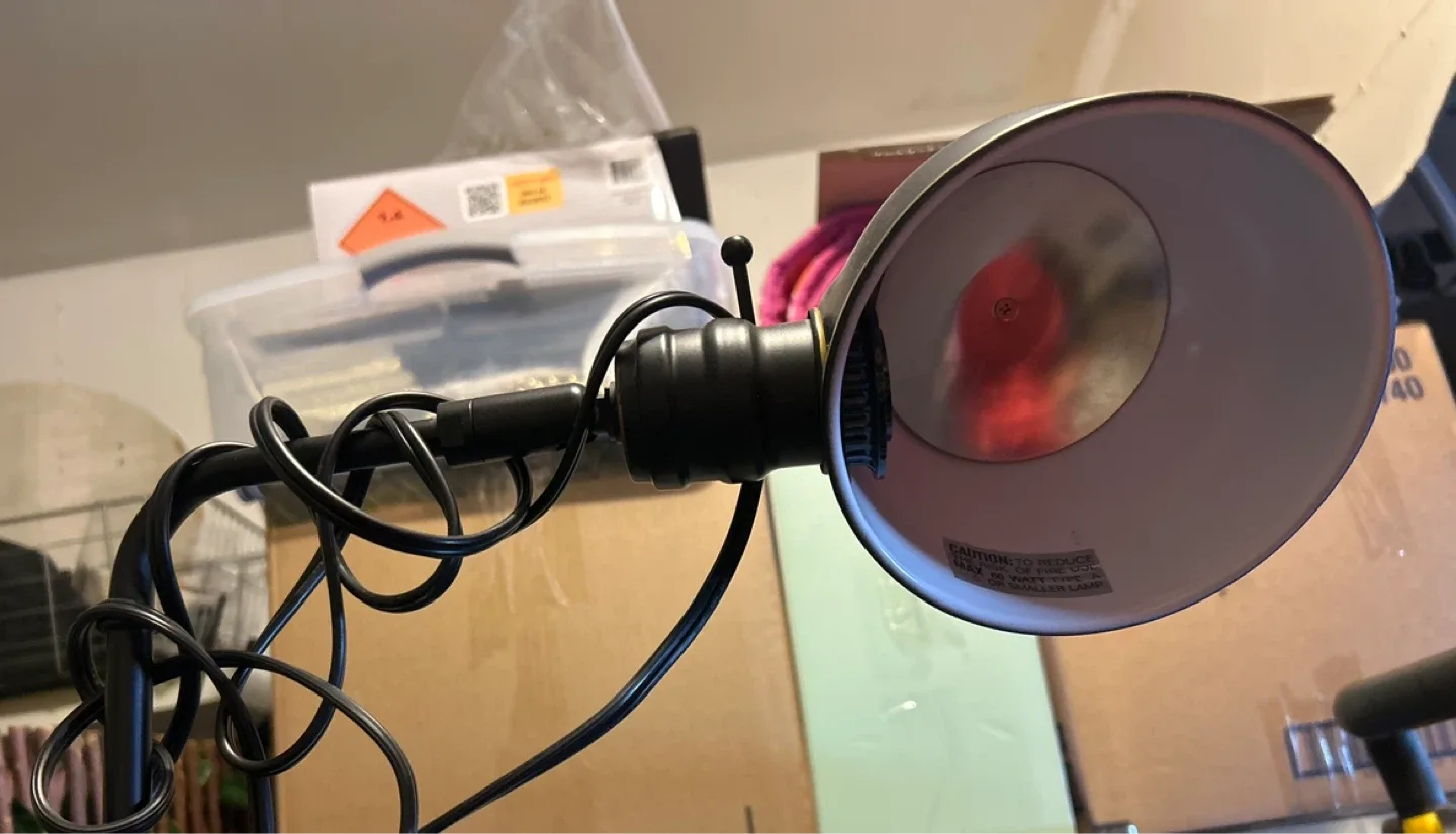 Adjustable Black Metal Floor Lamp image indicator(3)