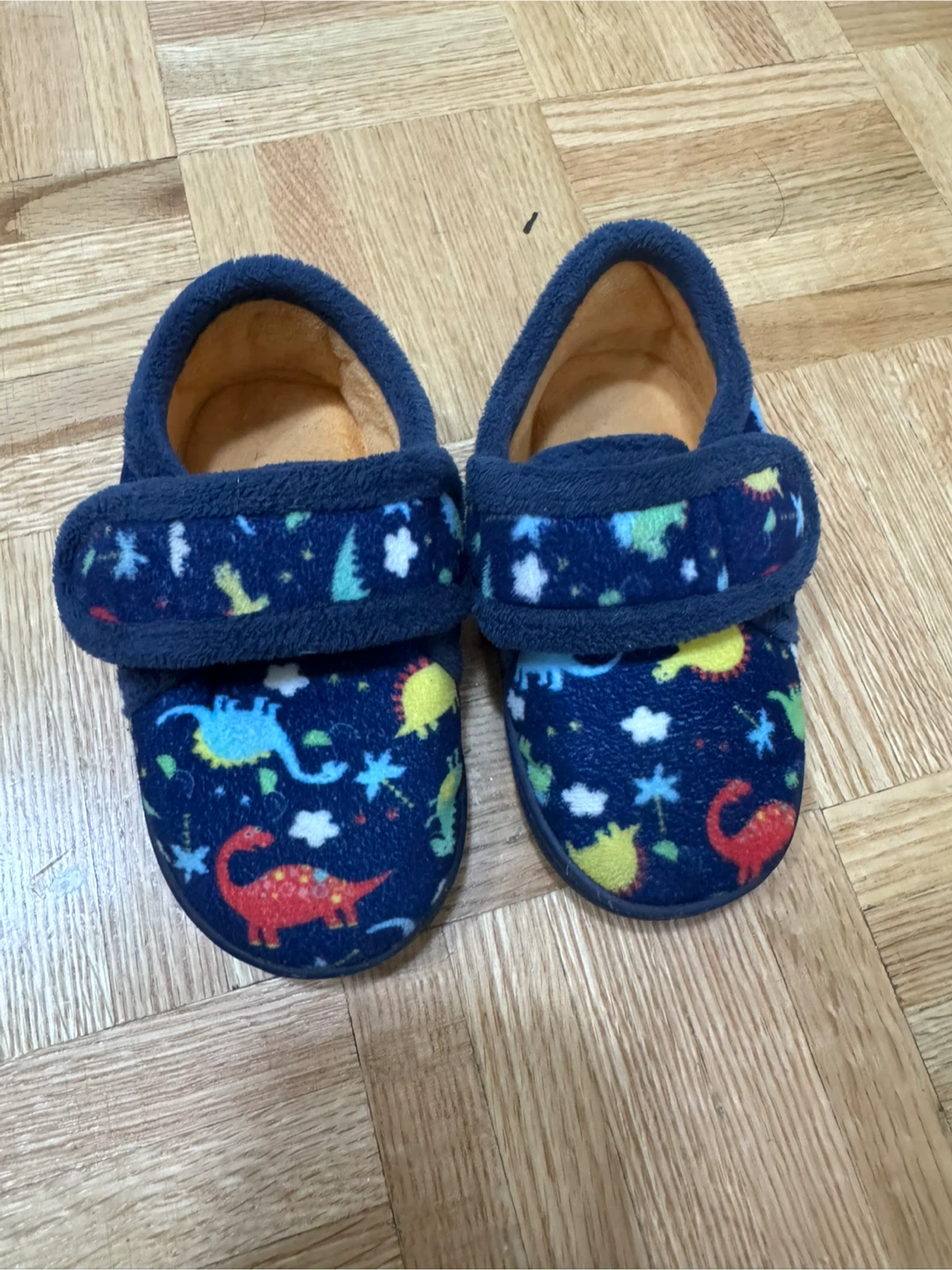 Dinosaur Print Slippers