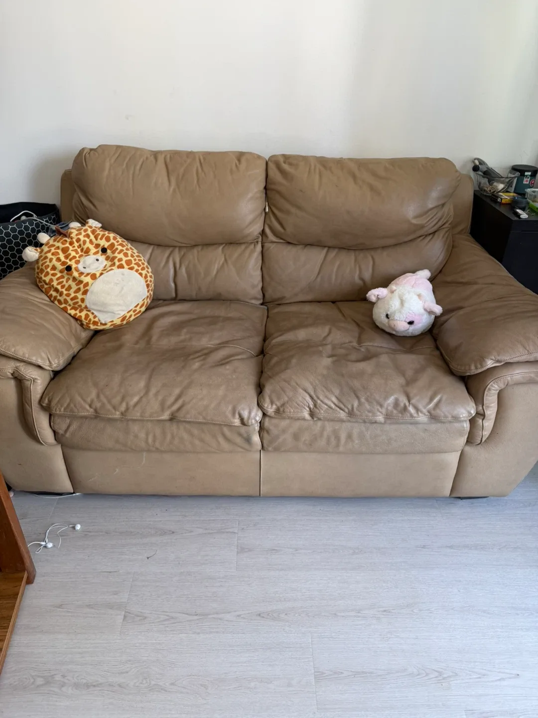 Leather Loveseat Sofa - Beige image indicator(3)