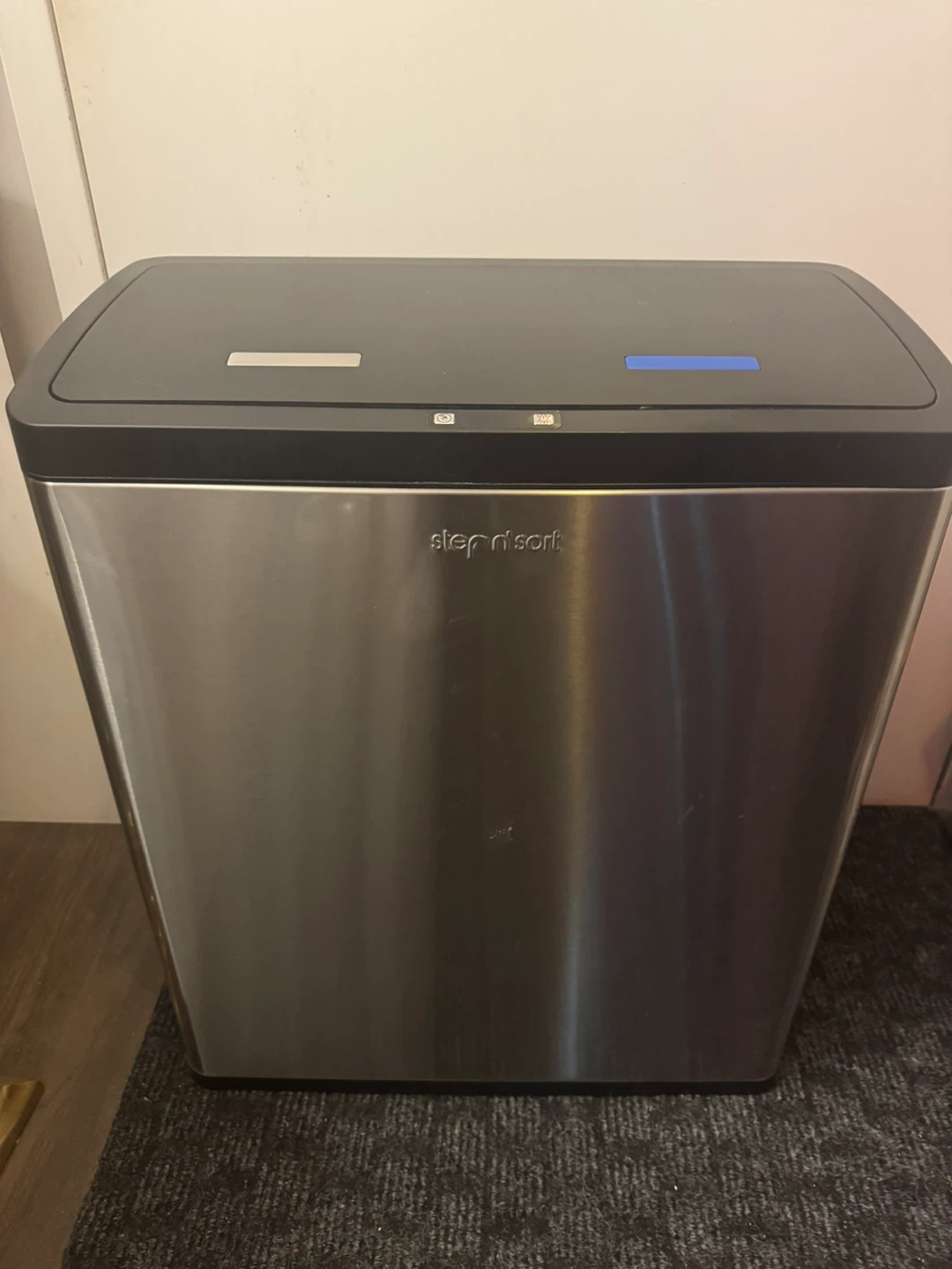 New step n' sort Stainless Steel Trash/Recycling Bin