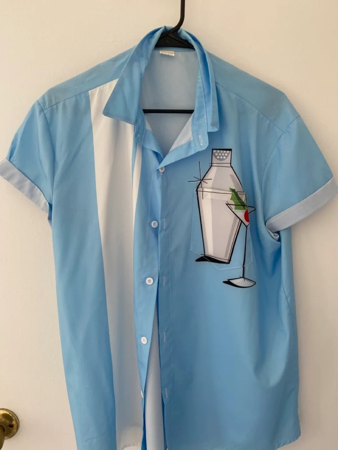 Assorted Men's Vintage Style Button-Up Shirts image indicator(6)