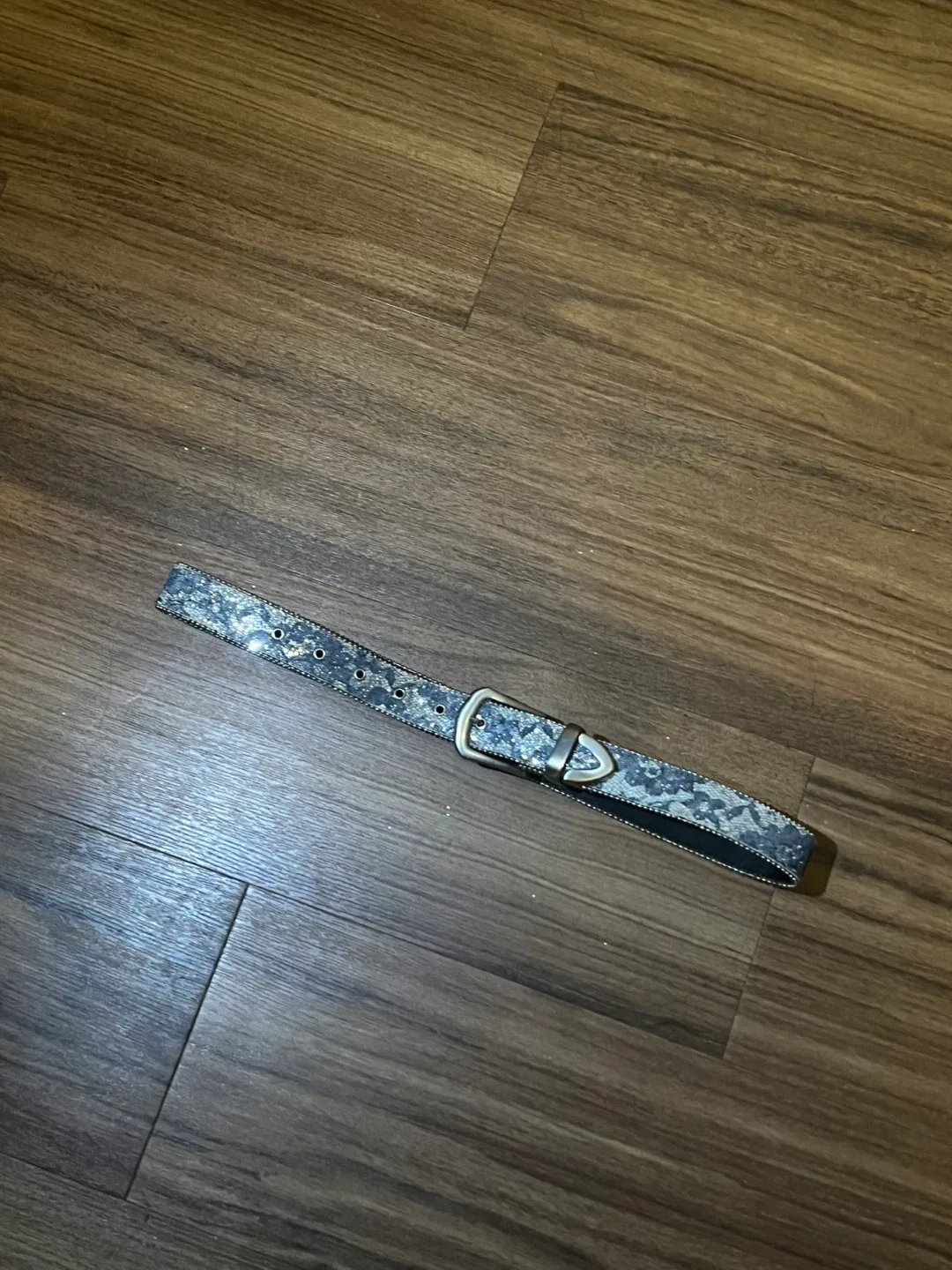 Sparkly belt image indicator(3)