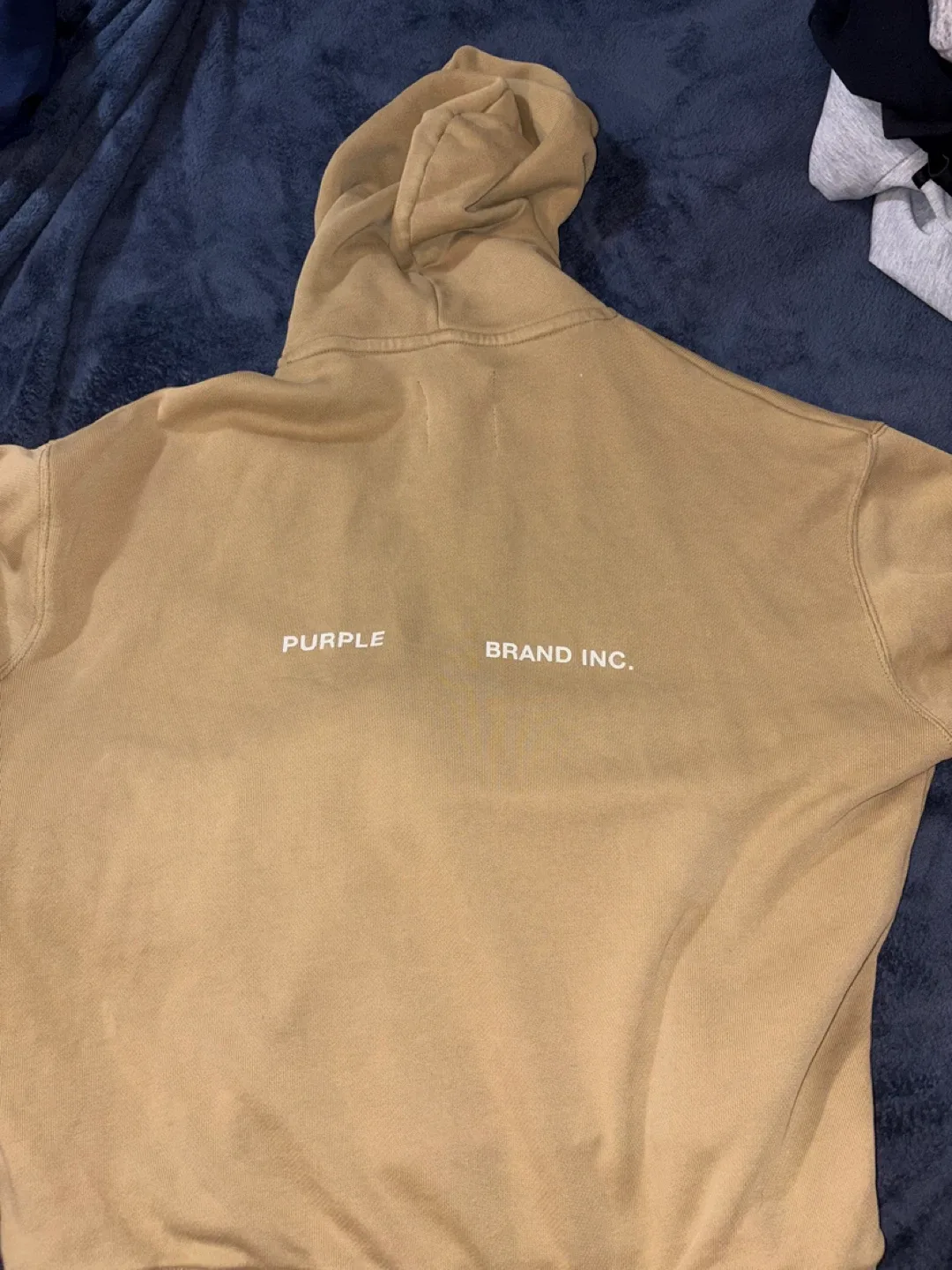 Purple Brand Inc. Hoodie - Size M image indicator(2)